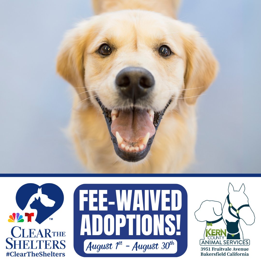 #ClearTheShelters continues! Fee-waived adoptions all month long! 3951 Fruitvale Avenue!