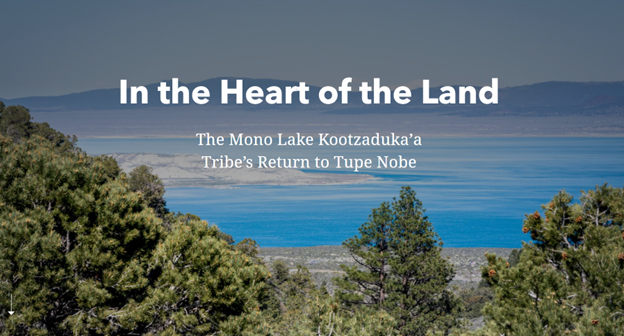🎉More incredible ancestral land back efforts! This story map🗺️celebrates the Mono Lake Kootzaduka’a Tribe's acquisition of 160 acres in Mono County, CA. Learn more about the history of the Tribe &amp; why land back matters. Link ⬇️. #30x30CA 

tinyurl.com/mpd58fct