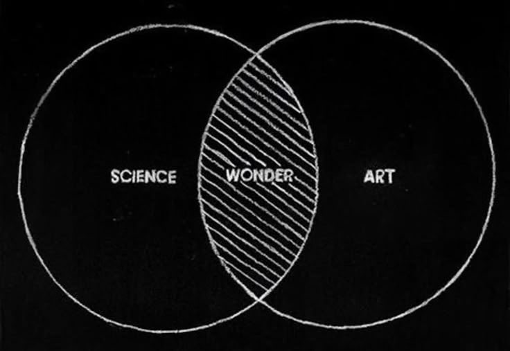 Wonder is the intersection of science and art. ✍️