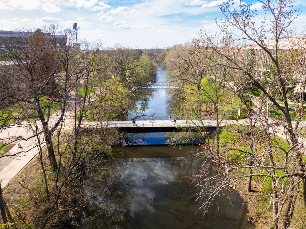 MSU offers several summer programs that guide incoming students through the college transition, while also helping them find supportive communities and in some cases, earn credit towards a degree.