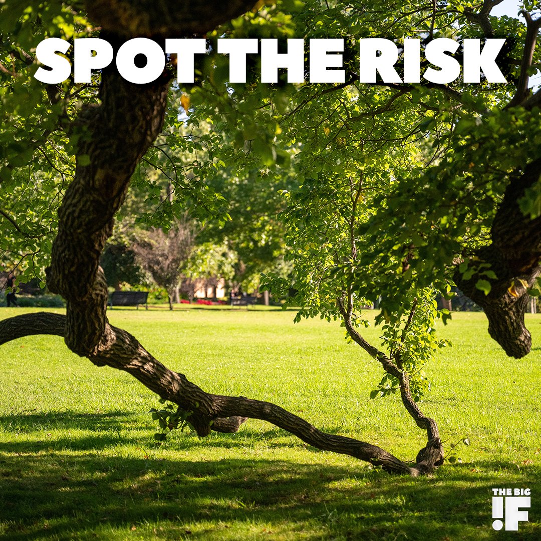 SPOT THE RISK. Prune trees to create a two-metre gap from the ground. Learn more at TheBigIf.ca and FireSmartCanada.ca #IBAC #TheBigIf