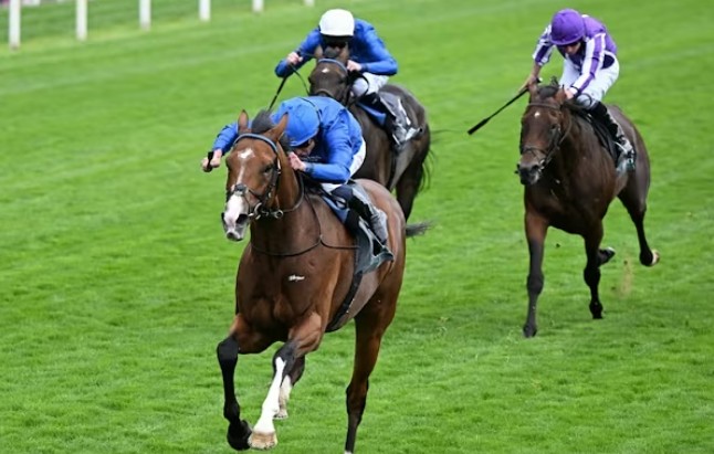 hipismo_mundial's tweet image. YORK (Inglaterra): ¡Tiene cupo para la BREEDERS’ CUP CLASSIC (G1)! El irlandés OMBUDSMAN le dio un nuevo G1 a GODOOLPHIN imponiéndose en el JUDDMONTE INTERNATIONAL S. (G1)
hipismomundial.com/york-inglaterr…