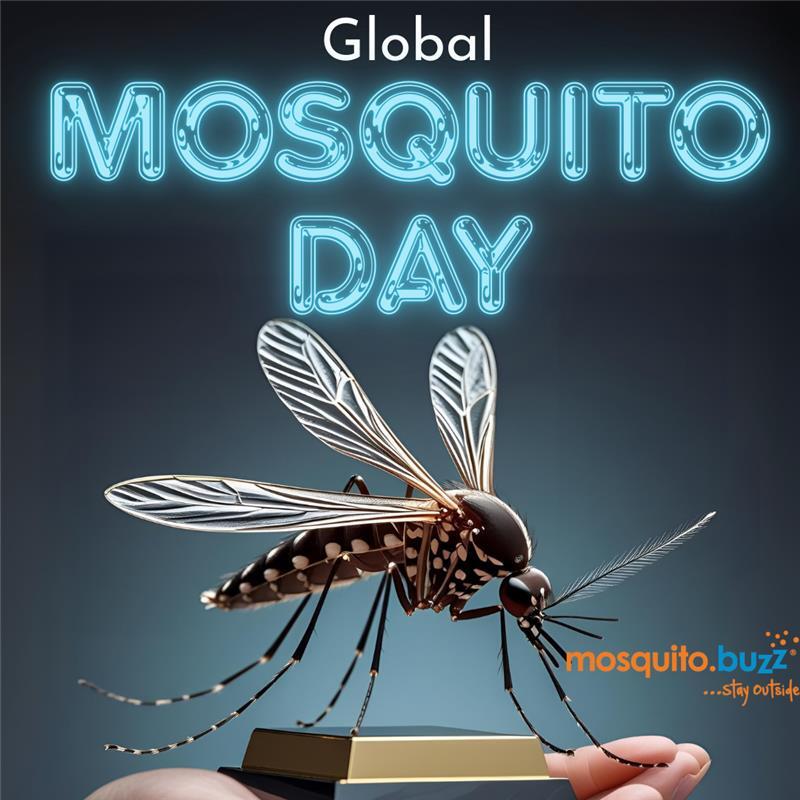 themosquitobuzz's tweet photo. 🦟 It’s #WorldMosquitoDay — and while we’re not throwing a party for mosquitoes (they’re definitely not invited), we are raising awareness about the impact these tiny buzzers have on our health and happiness.

👉 Learn more at https://t.co/aHzf7U73Tm https://t.co/NYg4au1rCz