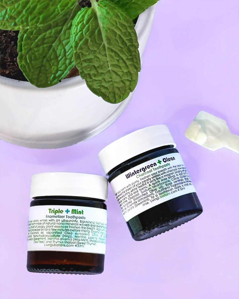 We can maintain the health of our teeth with the molecular matter of phytonutrients: brushing with botanicals that are anti-bacterial and anti-fungal, while benefitting digestion and the rest of the body.

Triple Mint Enamelizer Toothpaste features three types of refreshing mint,
