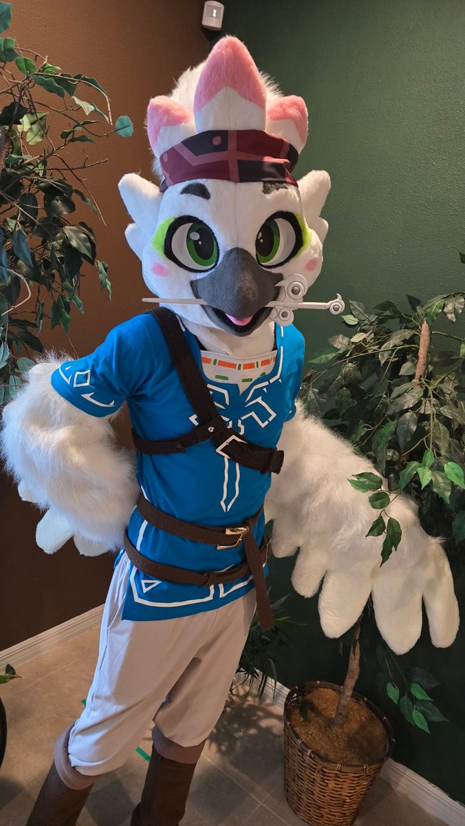 Medoh! 🏹 tweet media