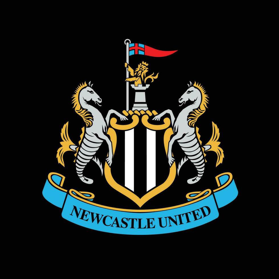 What's you opinion about Isak and Newcastle United ?