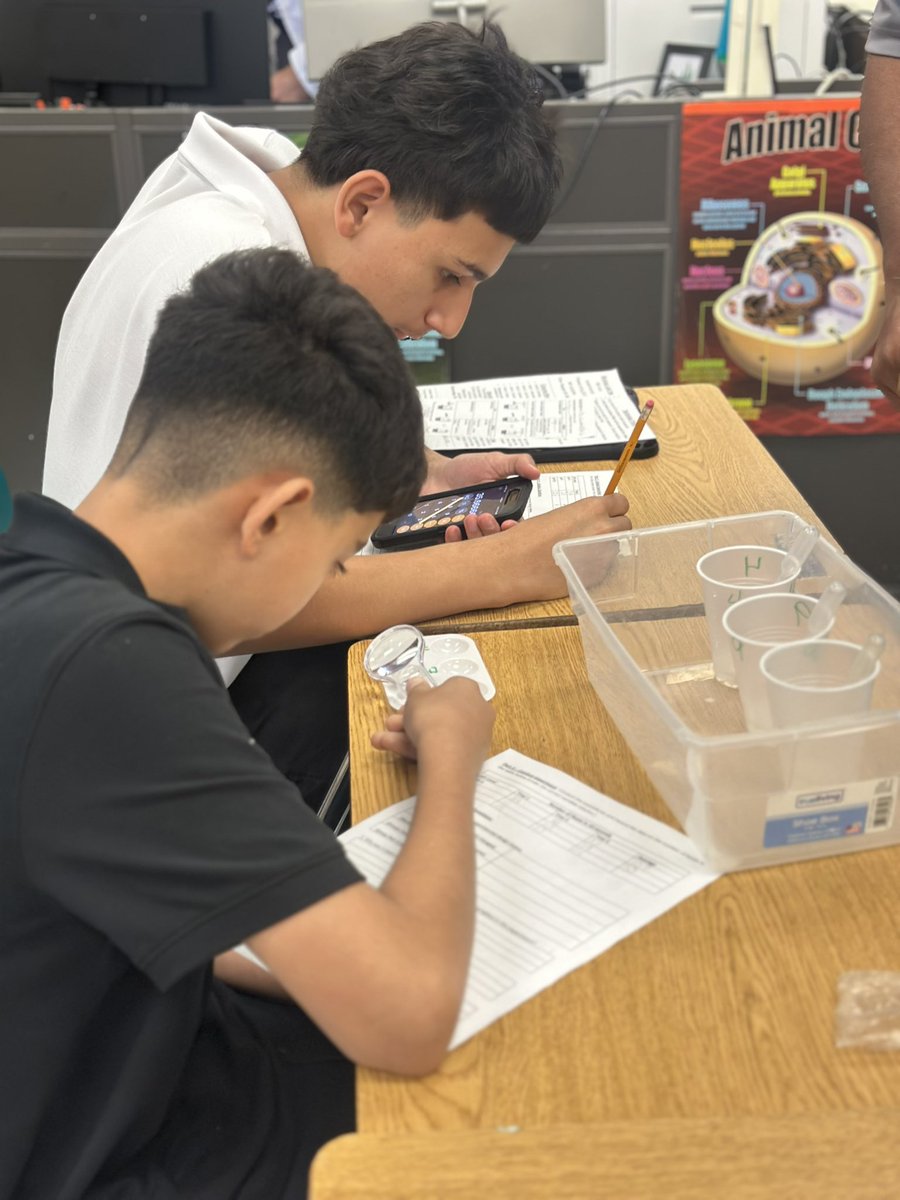 🔬💡 Learning in action! Our students explored science hands-on with a brine shrimp lab! Curiosity, discovery, and teamwork were on full display! 🧪🐚 #HMSGators #HandsOnLearning #FutureScientists #ExcellenceIsUpToMe