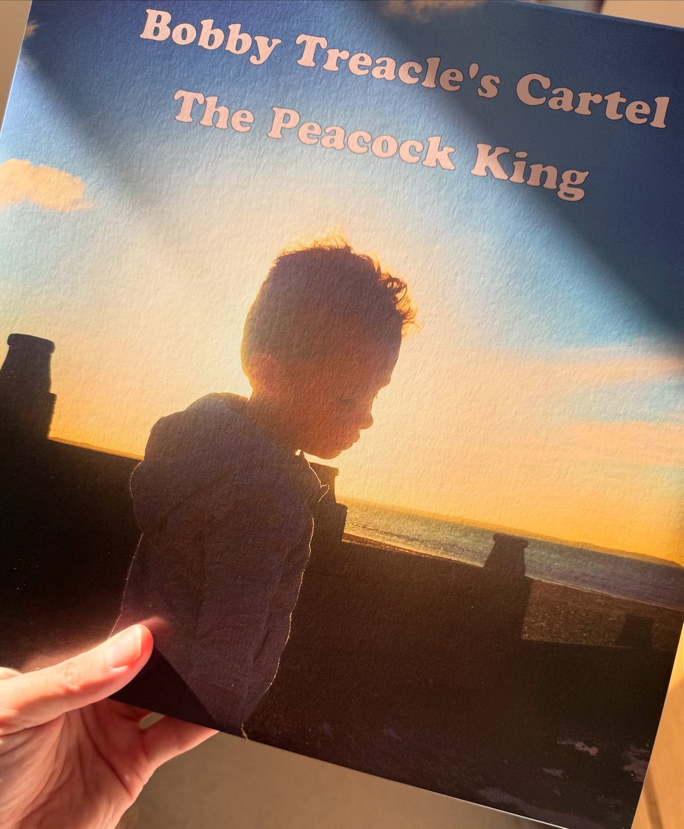 Bobby Treacle tweet media