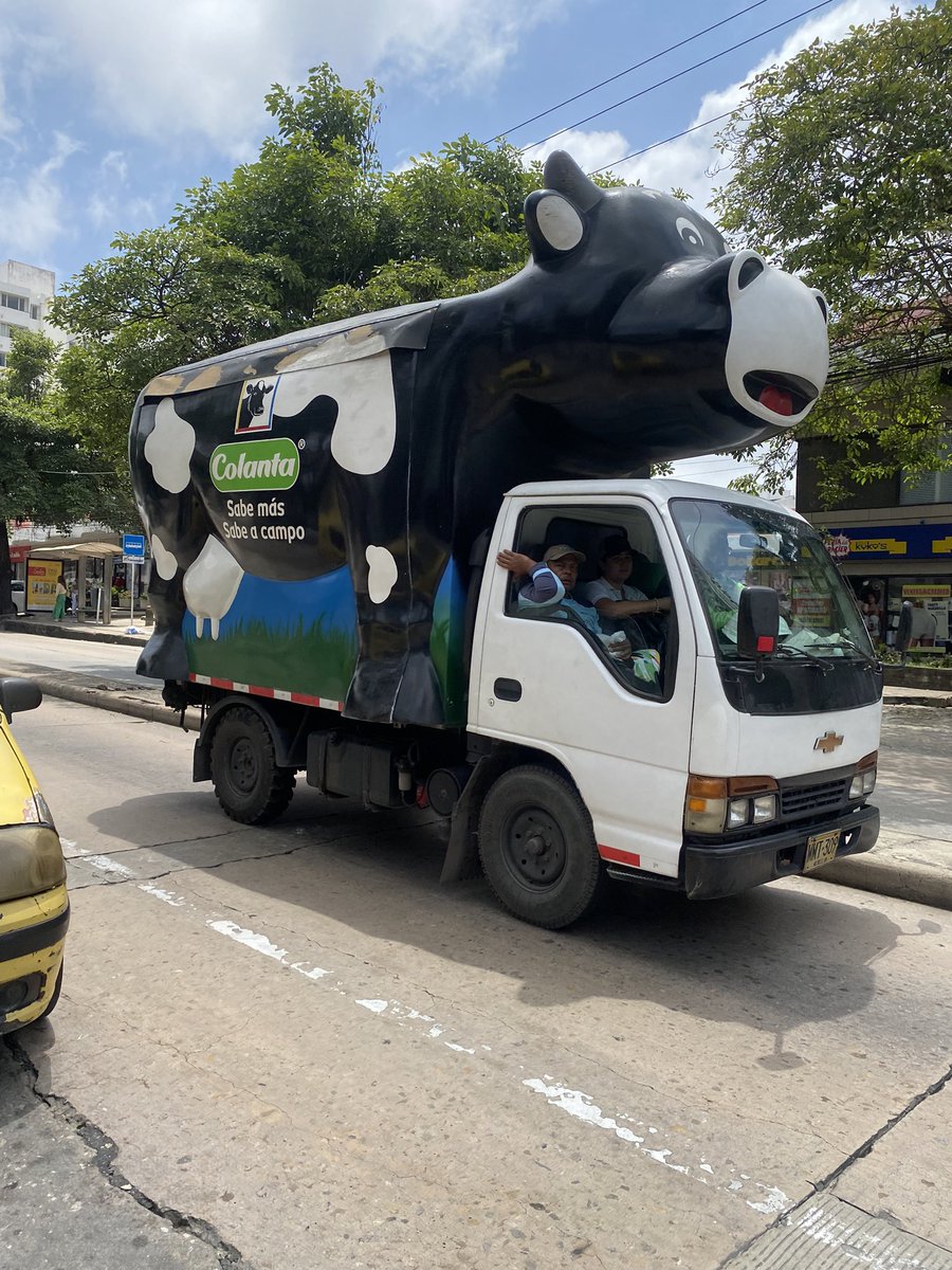 Angelica Maria 💕 tweet media