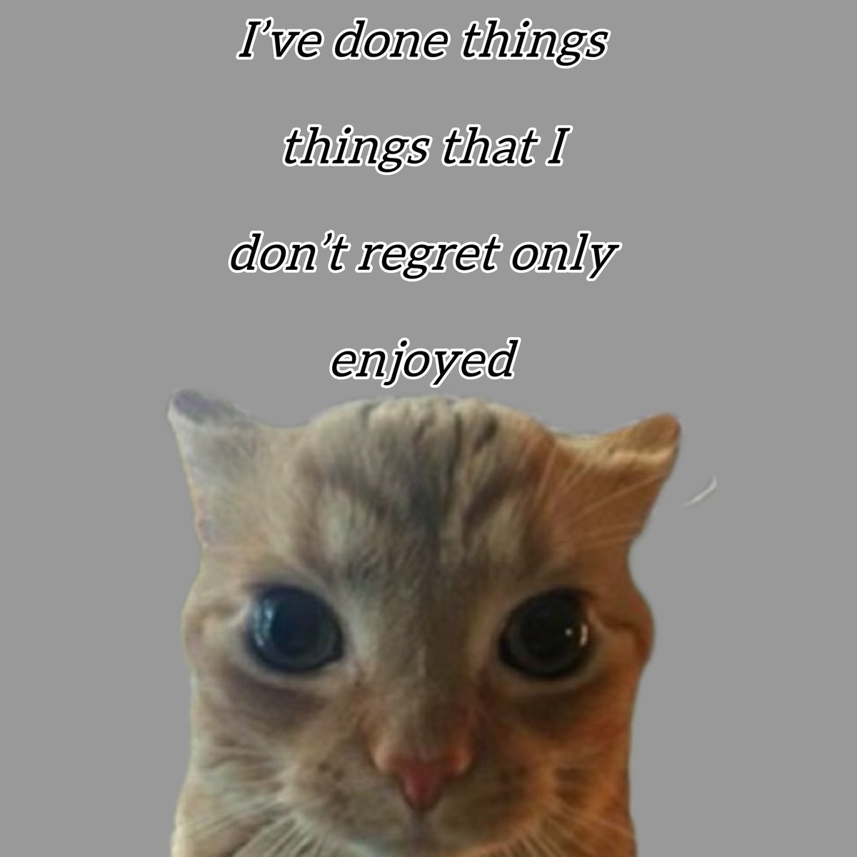 GaK (@gakstercat) on Twitter photo 