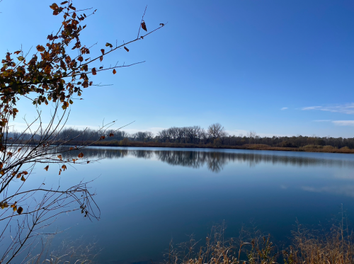 (1) USGS, in cooperation with the National Institutes for Water Resources, announces their annual RFPs under its National Competitive Grants Program (104 g). The Iowa Water Center will accept proposals from investigators in the state of Iowa. Watch our website for more info.