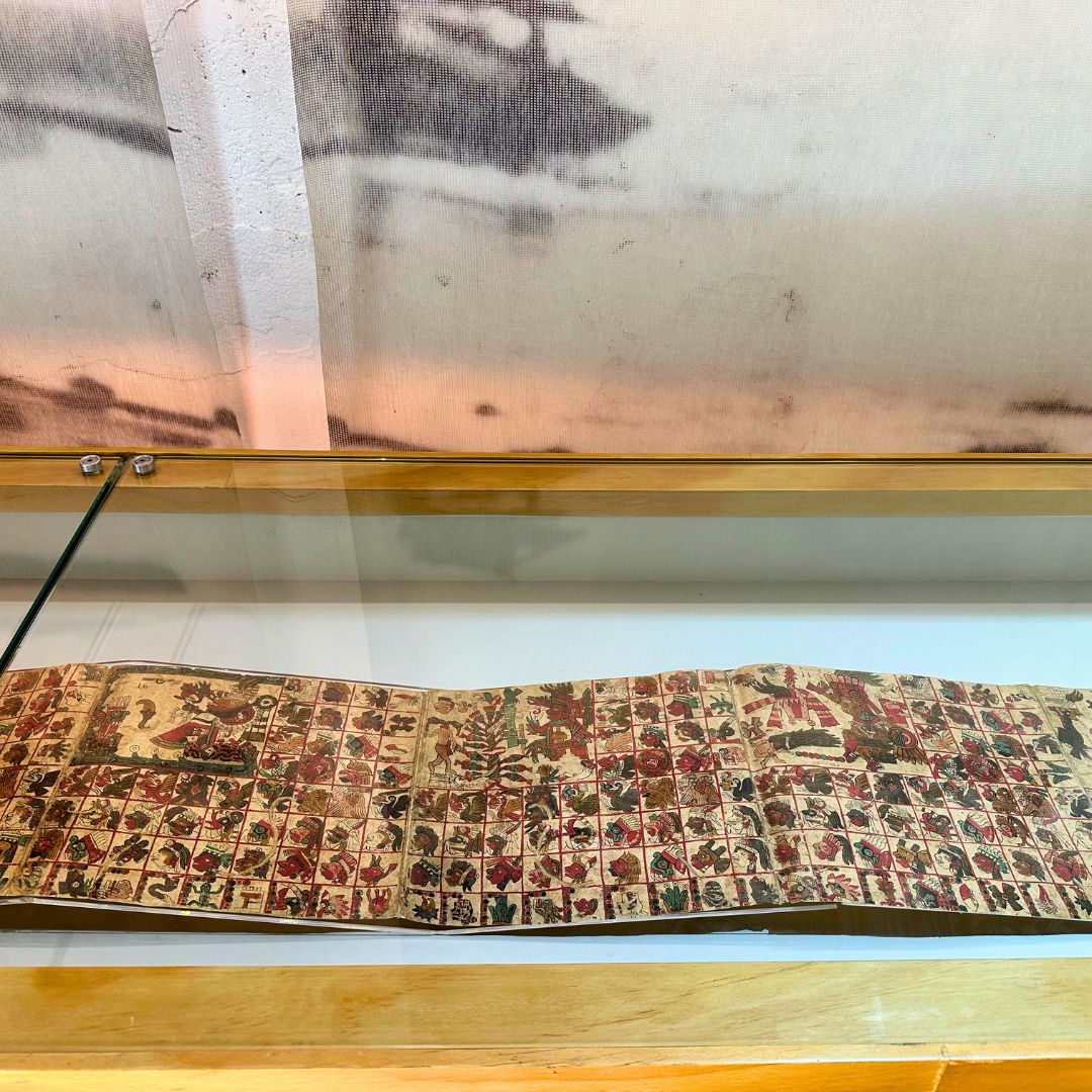 📍 Desde la sala de exposiciones permanentes del MUSAM, Museo Arqueológico de Mazatlán, les recordamos que continúa en exhibición 'Códices de México'.

🗓 Disponible hasta el 30 de septiembre.
✨ Una experiencia que no puedes dejar pasar.

#ConocerParaValorar