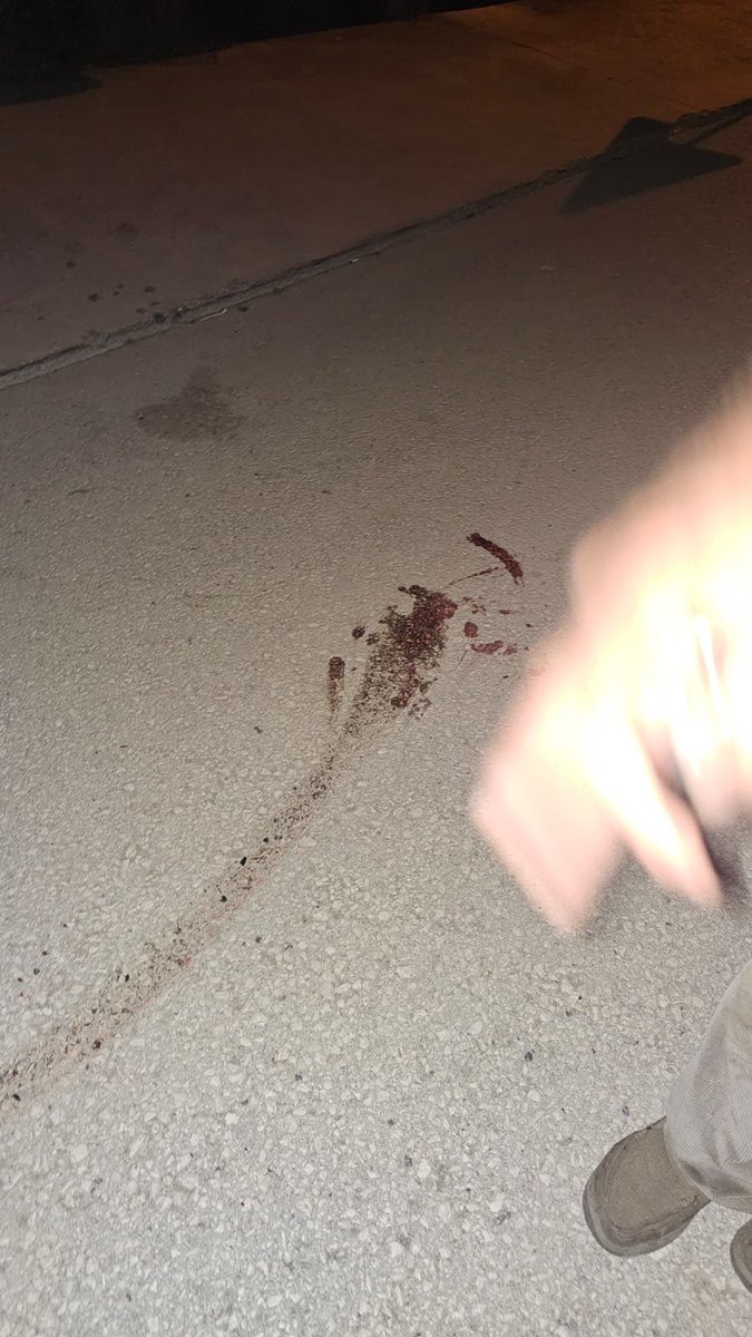 Bakın bu Jelly.

1 seneyi biraz aşkın bir süre önce bir bakımevinden sahiplendim onu.

70’li yaşlarının başındaki anne ve babama hayatlarının son baharında can yoldaşı olacaktı; canı alçakça elinden alınana kadar oldu da.

Jelly 12.08.2025 tarihinde, sadece çişe çıkmak için