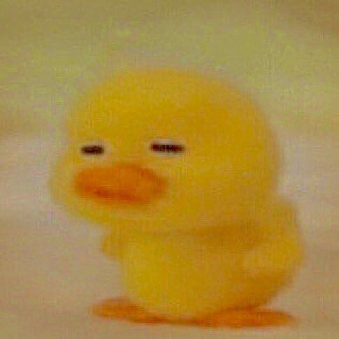 fefe៹ˡᵒⁱʳᵃ ᵈᵒ ᶜʰᵃⁿ | VIU O SKZ (@ifgnabnahc) on Twitter photo 