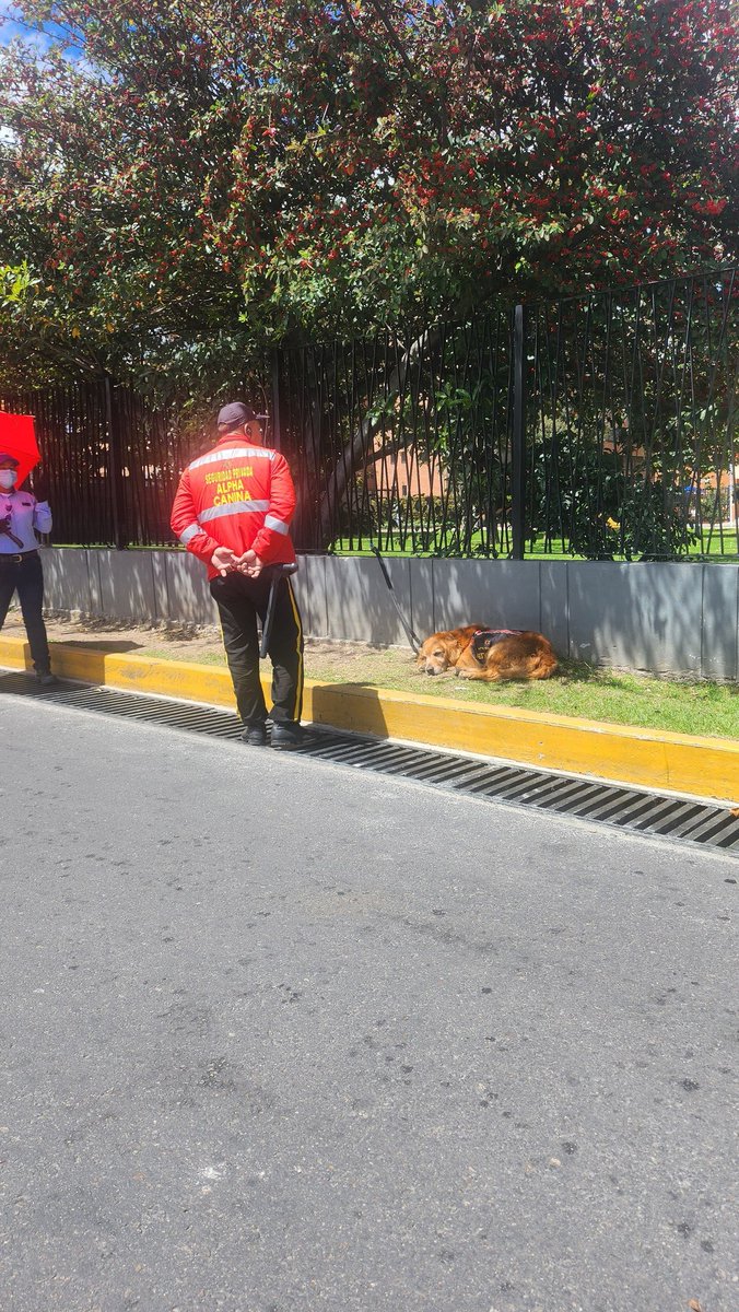 Así "descansan" los perros usados para la seguridad en <a href="/UnicentroBogota/">Unicentro Bogotá</a>. ¿Agua? ¿Sombra? <a href="/andreanimalidad/">Andrea Padilla |Senado Alianza Verde🌻#️⃣1️⃣4️⃣</a> <a href="/MONYRODRIGUEZOF/">MÓNICA RODRÍGUEZ 🐤</a> #LeyLorenzo