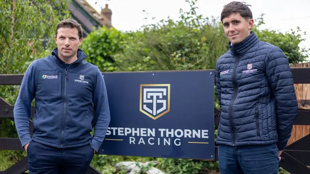 Since launching 10 months ago, we remain inside the TOP 10 flat trainers (winners-wise) in 2025 🏇💨

✅ 18% win strike rate — 3rd highest among the Top 10
✅ 52% winners-to-runners — the highest among the Top 10!
✅ All-Weather Trainers Championship 2024–2025 ❄️🏆

📩 Ownership