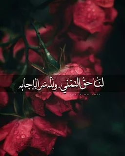 كايلا💫 (@kylejucune) on Twitter photo 