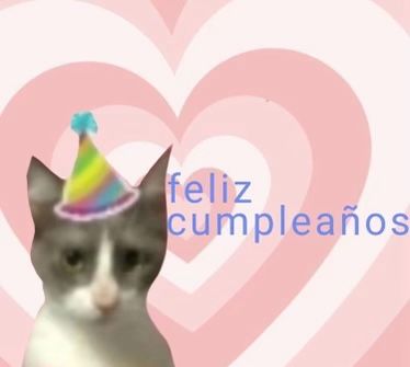 danichi_michi's tweet photo. @Cowokie_ Feliz cumpleaños qki, espero que pases un muy bonito día, tqm https://t.co/UaKdAd2hJk