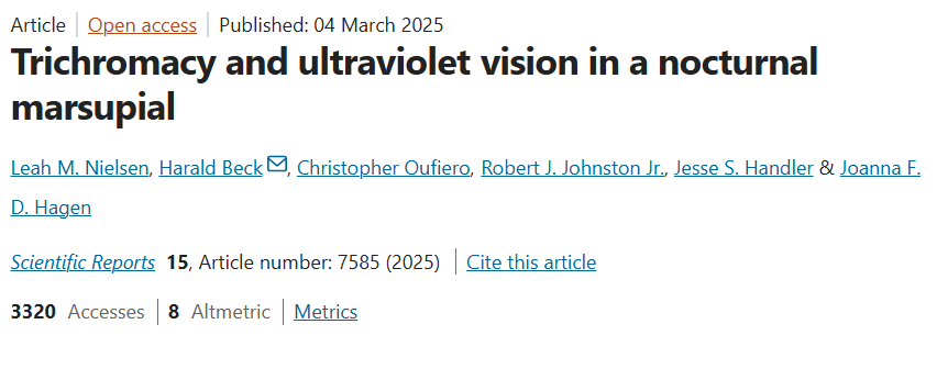 ConnorTLambert's tweet photo. Really cool multi-approach study demonstrating UV vision in sugar gliders, adding to the list of nocturnal mammals with UV vision. Makes me wonder if flying squirrels- whose bellies reflect UV light- also have UV vision. https://t.co/V79D8usYoR