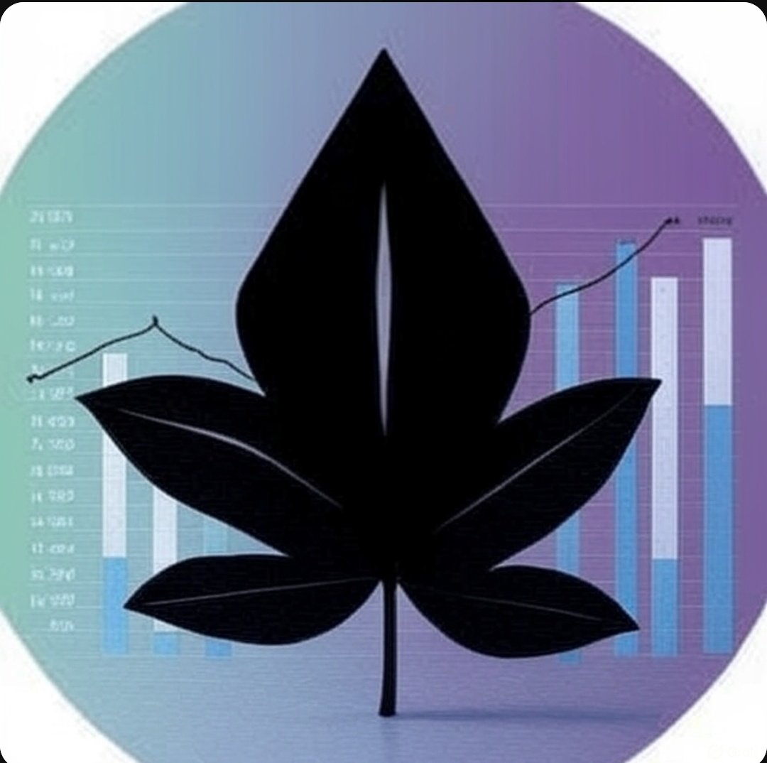 Aces 🍊, 💊 tweet media