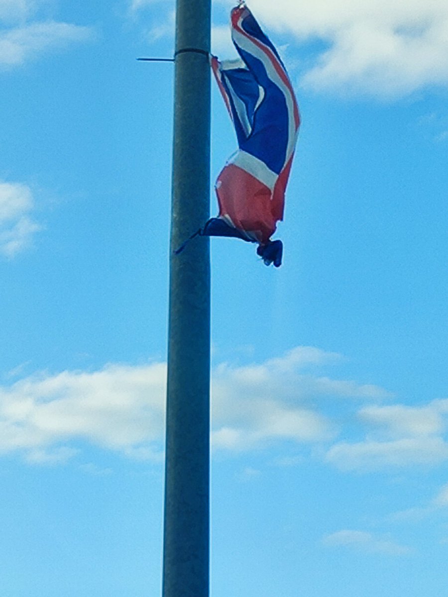 Ben Healey tweet media