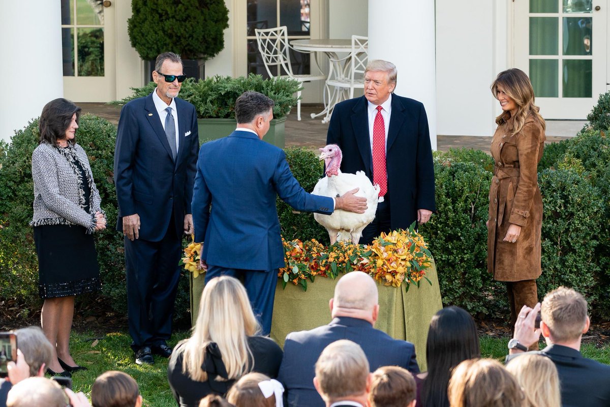 Office of the First Lady (@firstladyoffice) on Twitter photo The Presidential Turkey Flock has hatched! ๐ฃ
Two of these lucky birds will make their way to the <a href="/WhiteHouse/">The White House</a> for the traditional Turkey Pardon this November. ๐ฆ๐ The Presidential Turkey Flock has hatched! ๐ฃ
Two of these lucky birds will make their way to the <a href="/WhiteHouse/">The White House</a> for the traditional Turkey Pardon this November. ๐ฆ๐