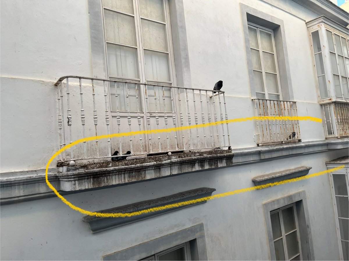oscaralri's tweet photo. @CadizAbandonada @Cadiz_es @LimpiamosCadiz @ValorizaSM @jctbcdz Mira os iba a poner una sola cosa, pero ya puestos os pongo dos…una es la mancha marrón, pipi de una persona q pide en la C/compañia de 3 a 4 meadas todos los días, y la 2ª que hacemos con los balcones llenos de mierda de las palomas? Crian y todo…no se puede vivir asi… https://t.co/oD4wqVYZB4