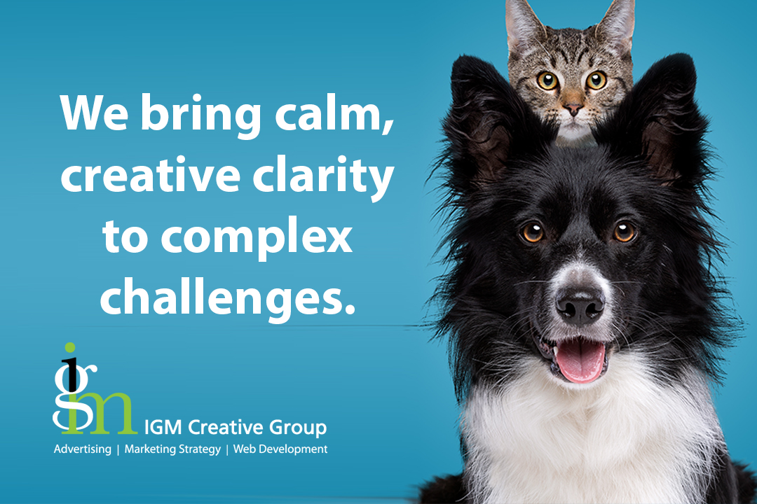 IGM Creative Group tweet media