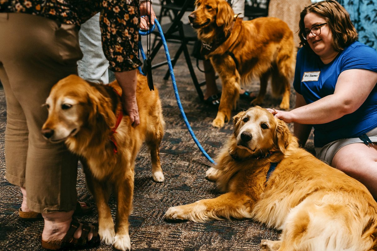 BethelU's tweet image. A moment to appreciate our educators.

In June, Bethel hosted the 5th annual Refresh Gathering—a morning of encouragement, connection, and renewal.

Keynote speaker Dr. Al Johnson reminded us why this work matters.
 📸 See highlights from the day. #Refresh2025 #BethelEducation