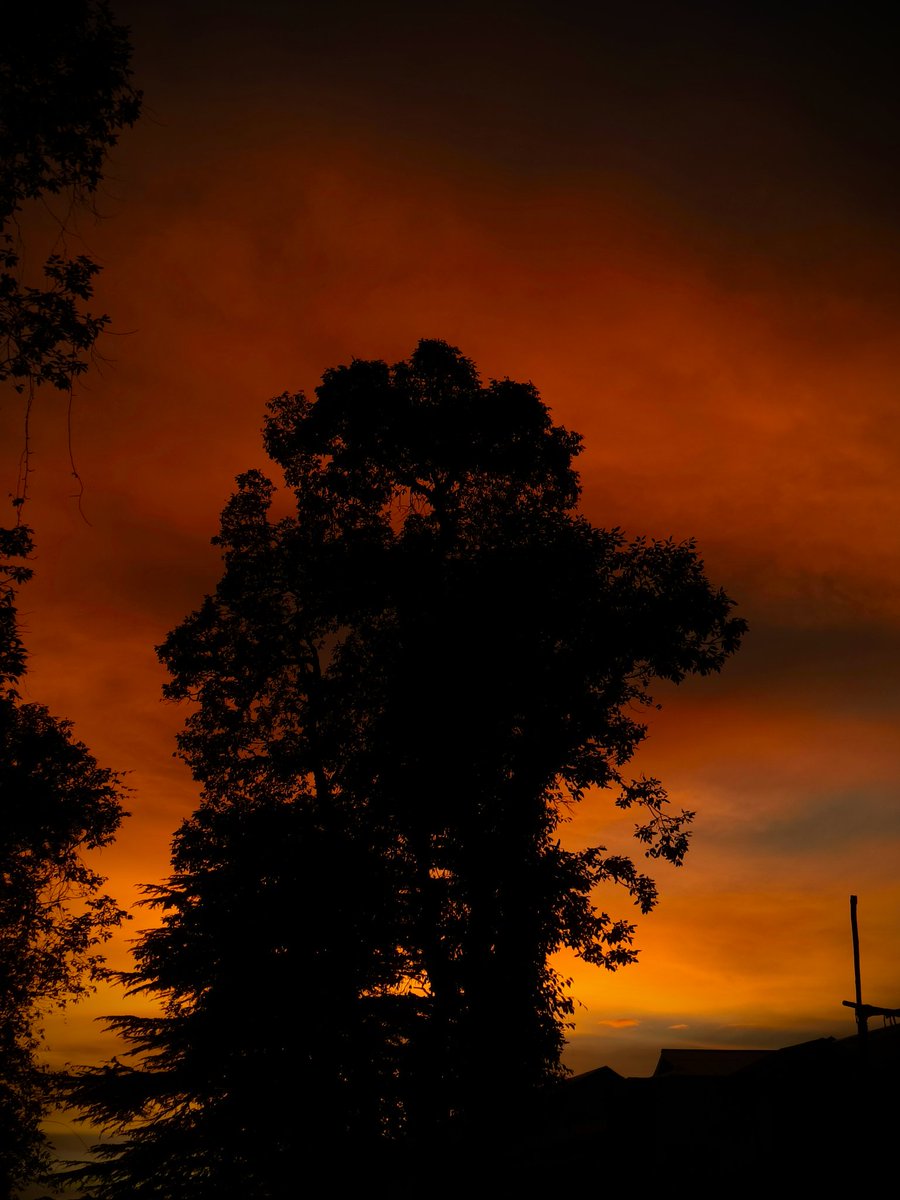 Dear <a href="/an1eth/">An1</a>❤️, Even if miles and places keep us apart, the universe ties us together. My love to the 1.

Bound by the Same Sky 💎