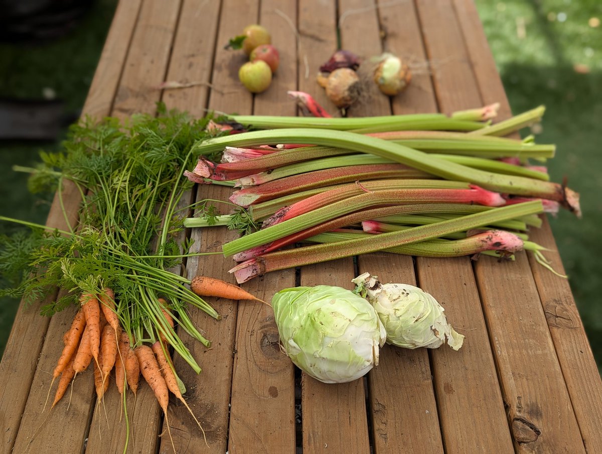 BeechmountBRC's tweet photo. "Fresh dinner made with veg from Beechmount Grove Community Garden 🌱🥕 

This is what ourselves &amp; the Three Sisters Garden are all about growing, sharing &amp; supporting others along the way. 

Food is freedom. Growing together is the Revolution ✊
#CommunityGarden #FoodJustice" https://t.co/vD1zdBEcoc