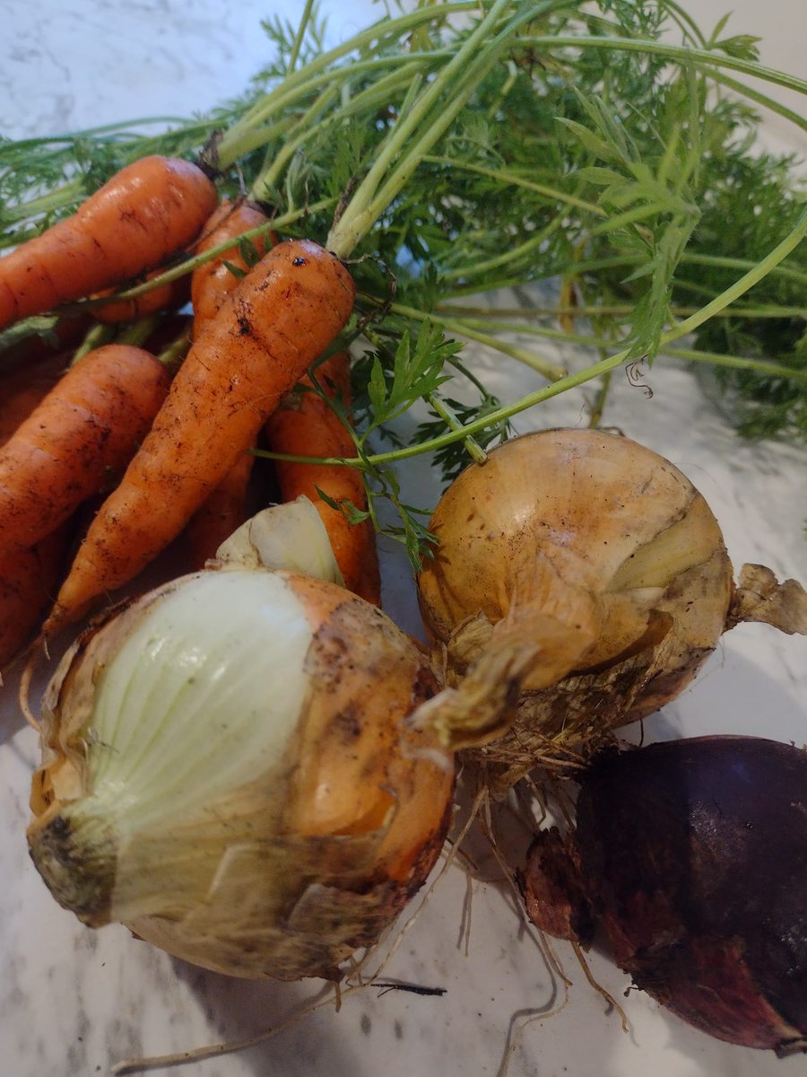 BeechmountBRC's tweet photo. "Fresh dinner made with veg from Beechmount Grove Community Garden 🌱🥕 

This is what ourselves &amp; the Three Sisters Garden are all about growing, sharing &amp; supporting others along the way. 

Food is freedom. Growing together is the Revolution ✊
#CommunityGarden #FoodJustice" https://t.co/vD1zdBEcoc