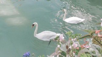 ⚝ ⚝ ⚝ (@thinkfloating) on Twitter photo 