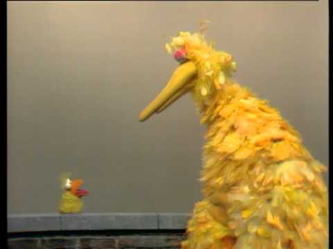 daily puppet tweet media