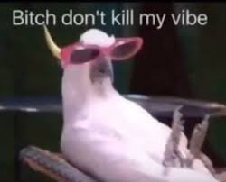 R3alitySh1ft's tweet photo. -🔴LIVE!
Vibe Time!

 https://t.co/WUXYGsFGKT 

#Vtuber #ENVtuber #VRChat #Wednesday #Letsgo https://t.co/UanuWOesot