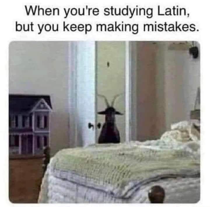 He who falters in the tongue of the ancients shall find horns in the threshold. The syllables are not mere words, but gates. Beware the door you open with a stutter.
🕯️🐐📜