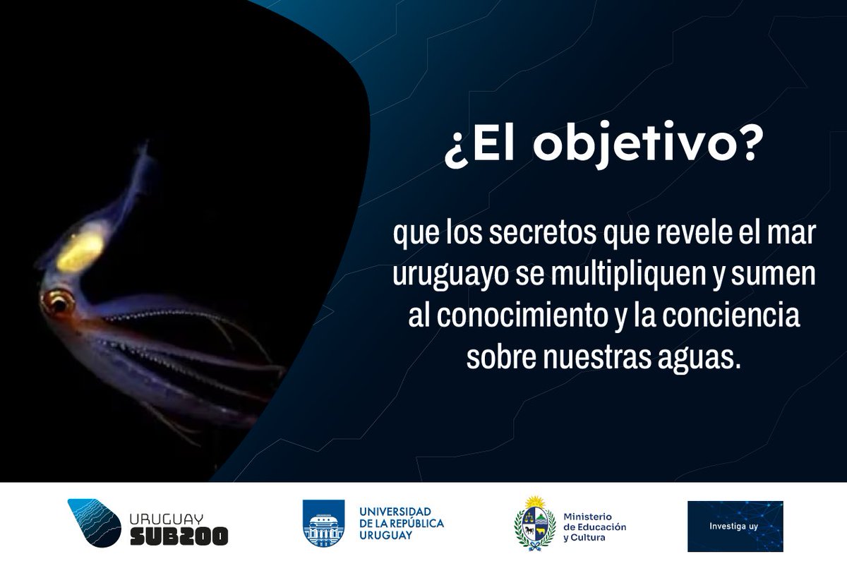 dicytmec's tweet photo. Desde este viernes 22 de agosto...Travesía SUB200 

🗓️🕘 Streaming periodístico en el canal de Youtube de @MEC_Uruguay, para entender los secretos del mar uruguayo 🌊

Enviá tus preguntas y comentarios por
Whatsapp al 098 987 991 📱

#Uruguaysub200 https://t.co/uMskNHN8Bd