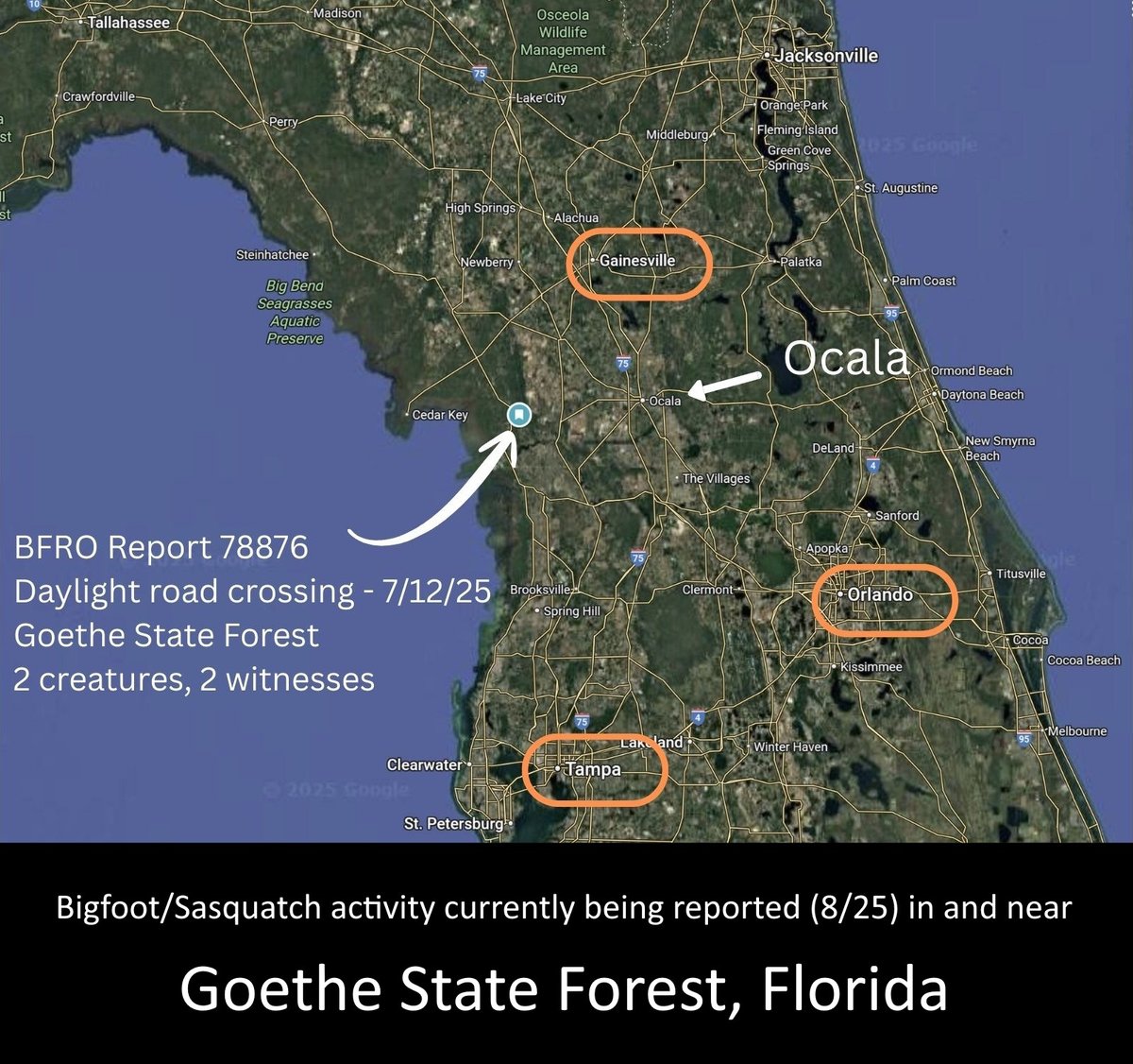 ATTN FLORIDA >>>  July 12, 2025:  Two witnesses observe two bigfoots crossing a road in Goethe State Forest,  25 miles W of Ocala.  The incident was investigated on scene by Dr. Robert Staten, (MD).

The followup notes in the report include links to other BFRO reports from this