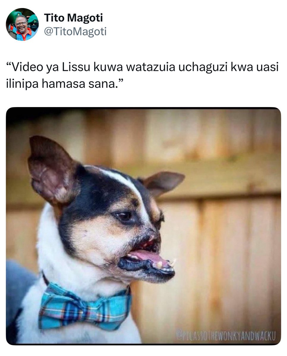 MMatojo's tweet image. Mimi ni Mfanyabiashara ya kuuza nguo Kariakoo, nimeoa na nina mke na watoto, nilisikia Mhe. Lissu anasema atakinukisha nikashawishika na kumuacha mke wangu na kutelekeza watoto wangu na kuoa Mchepuko 🤣🤣🤣

@TitoMagoti