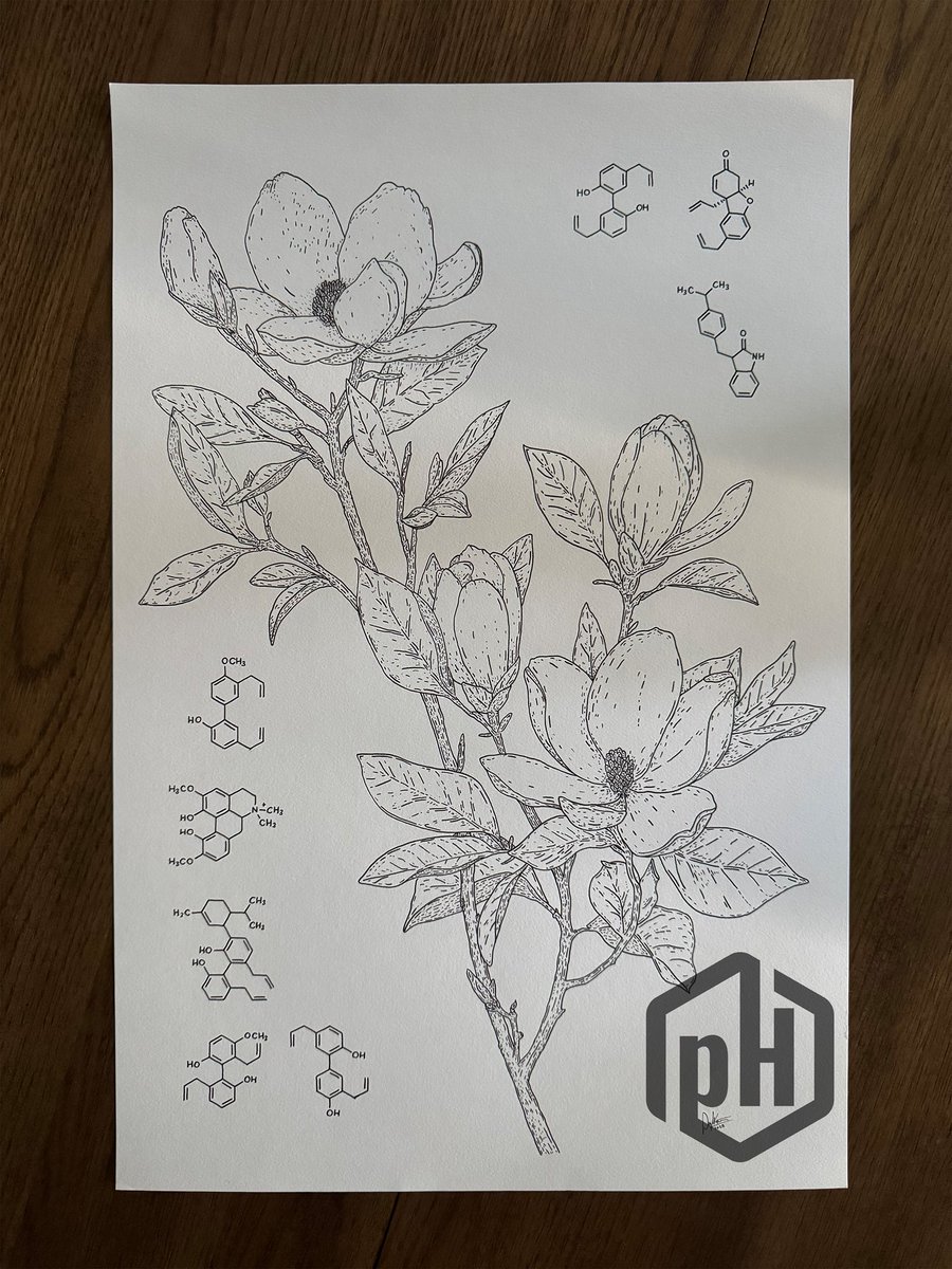 Phil Knutson, PhD ⌬ tweet media