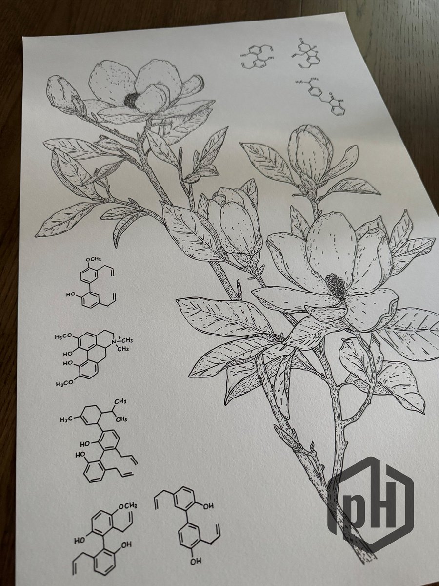 Phil Knutson, PhD ⌬ tweet media