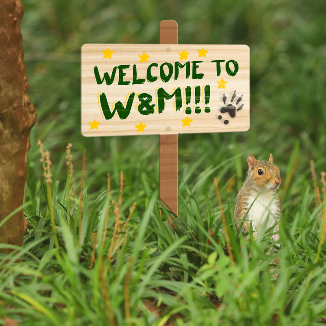 wmsquirrel's tweet image. Welcome to campus, #wmBurgBound and returning #williamandmary students! It's been a warm summer around here and you were missed! HAPPY you're back!