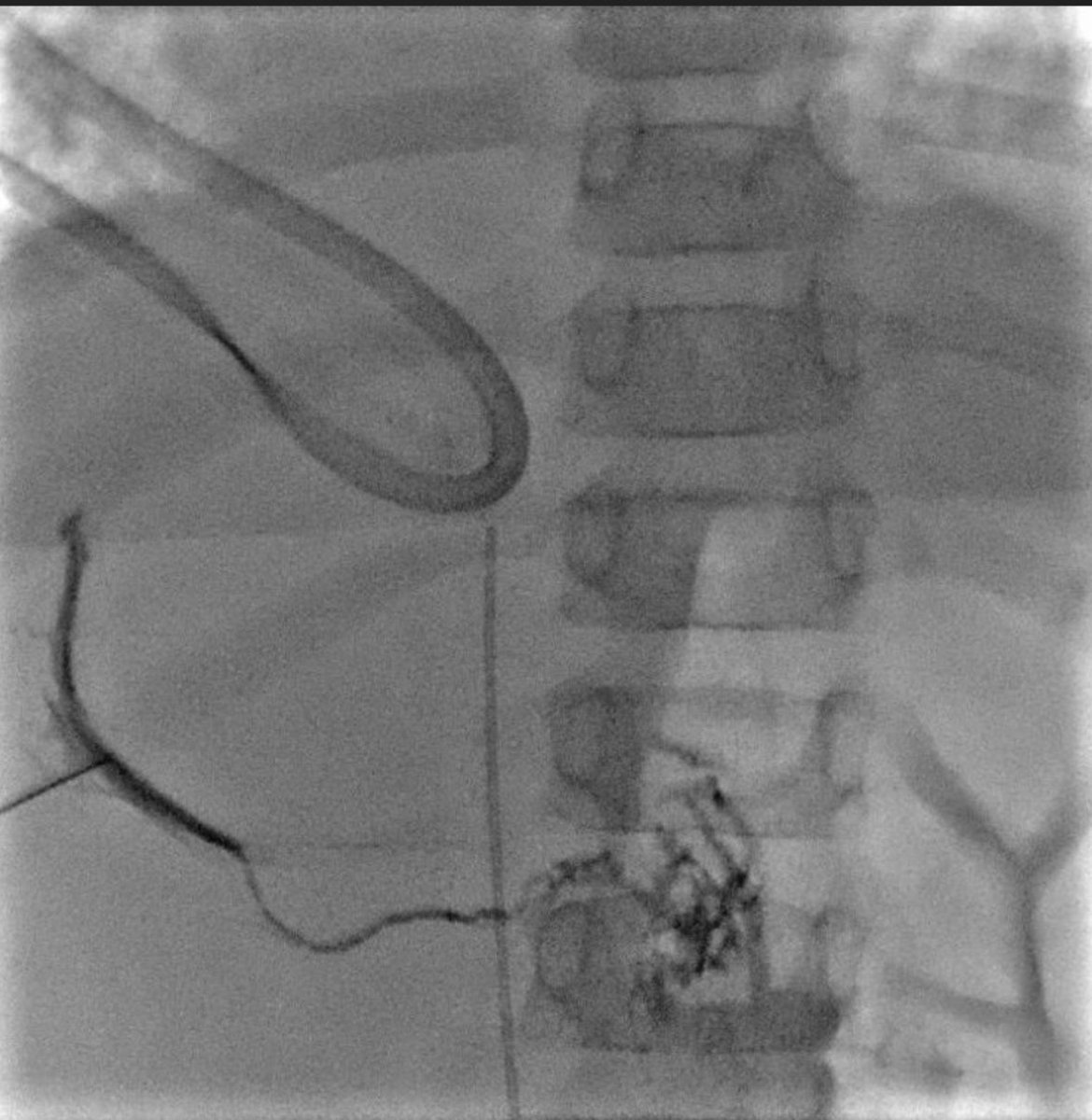 Dr. Dario Teplisky tweet media