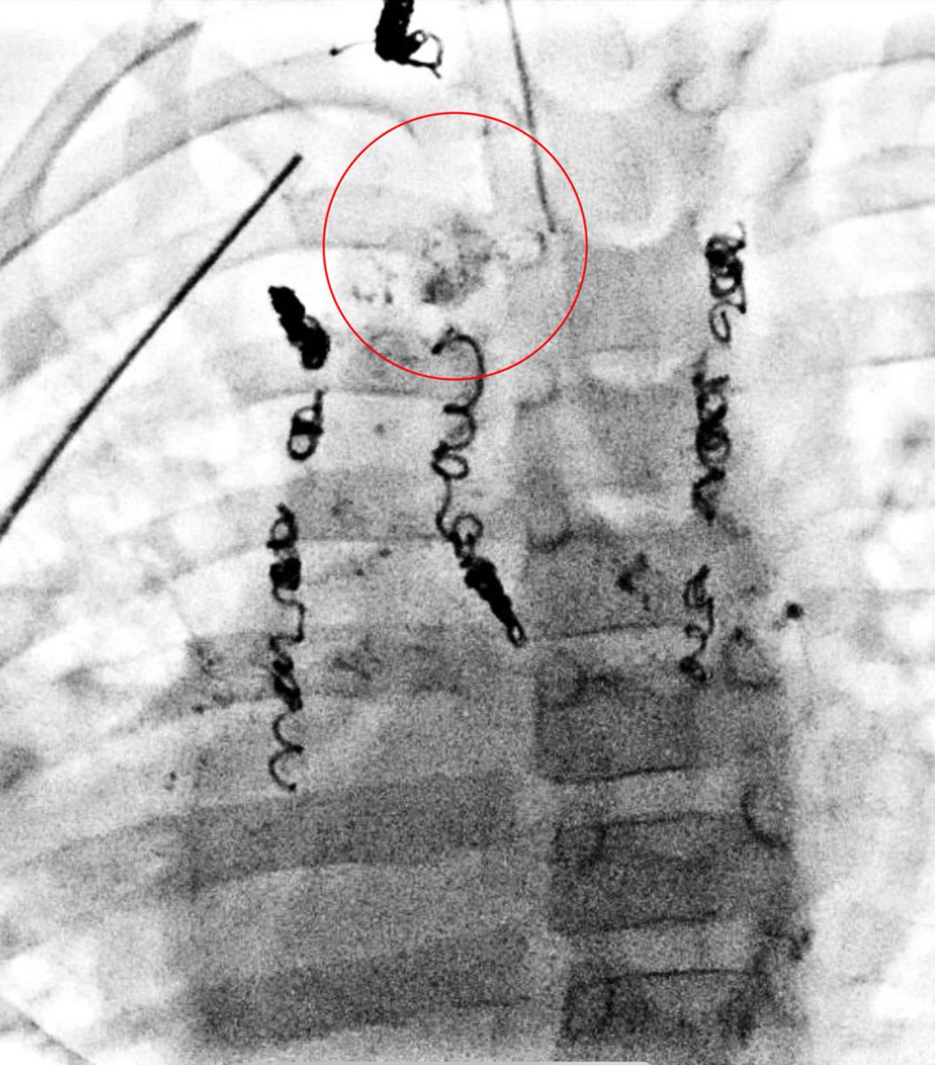 Dr. Dario Teplisky tweet media