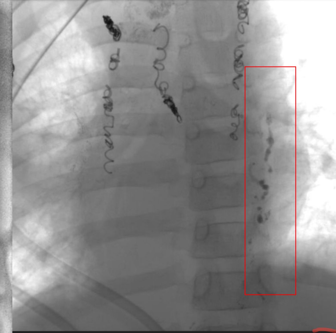 Dr. Dario Teplisky tweet media