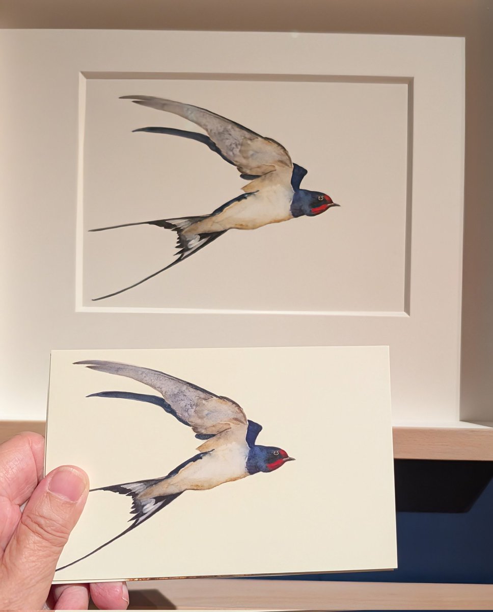 wendyloued's tweet image. Today I went to this enjoyable exhibition at the Victoria Art Gallery - a few postcards are winging their way to some recipients 
#PostcardDrop2025 
#SendPostcards