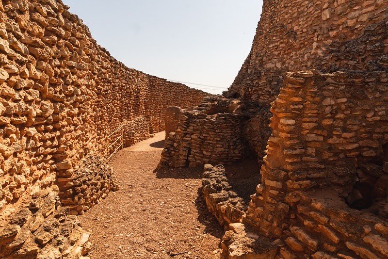 SaborQuijote's tweet photo. Un viaje 4.000 años atrás que puedes vivir SÓLO en Daimiel...

Uno de los rincones que más sorprende a creadores de contenido, historiadores y turistas es… ¡𝐋𝐚 𝐌𝐨𝐭𝐢𝐥𝐥𝐚 𝐝𝐞𝐥 𝐀𝐳𝐮𝐞𝐫! 😲

🏺 Un yacimiento arqueológico con ➕ 4.000 años de historia. https://t.co/3g0z5eJZXO
