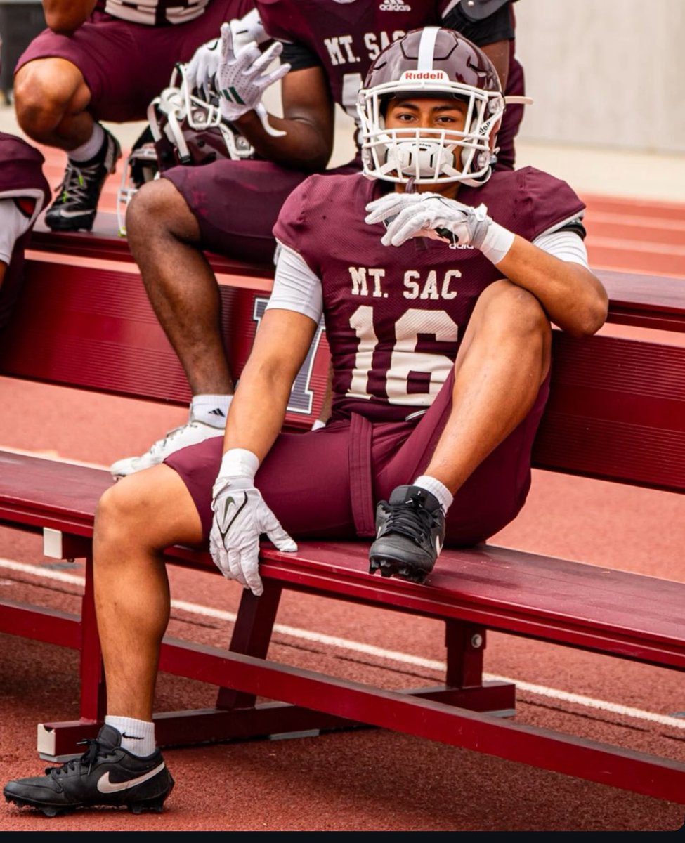 PPT ELITE tweet media