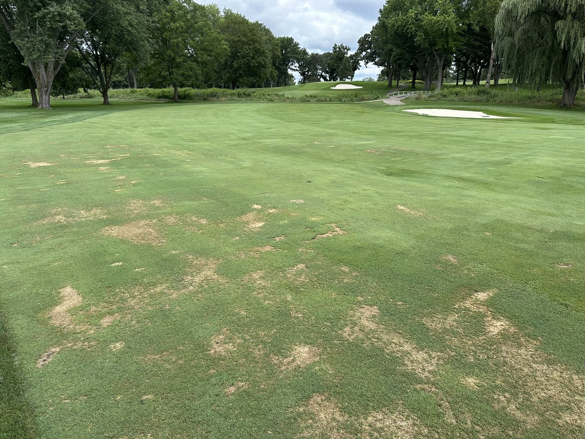 Wyatt Byrd tweet media