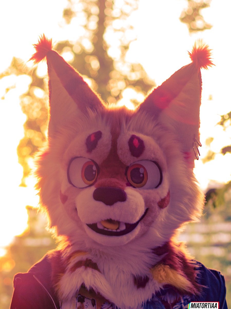 When the meteor hits :O #FursuitEveryday